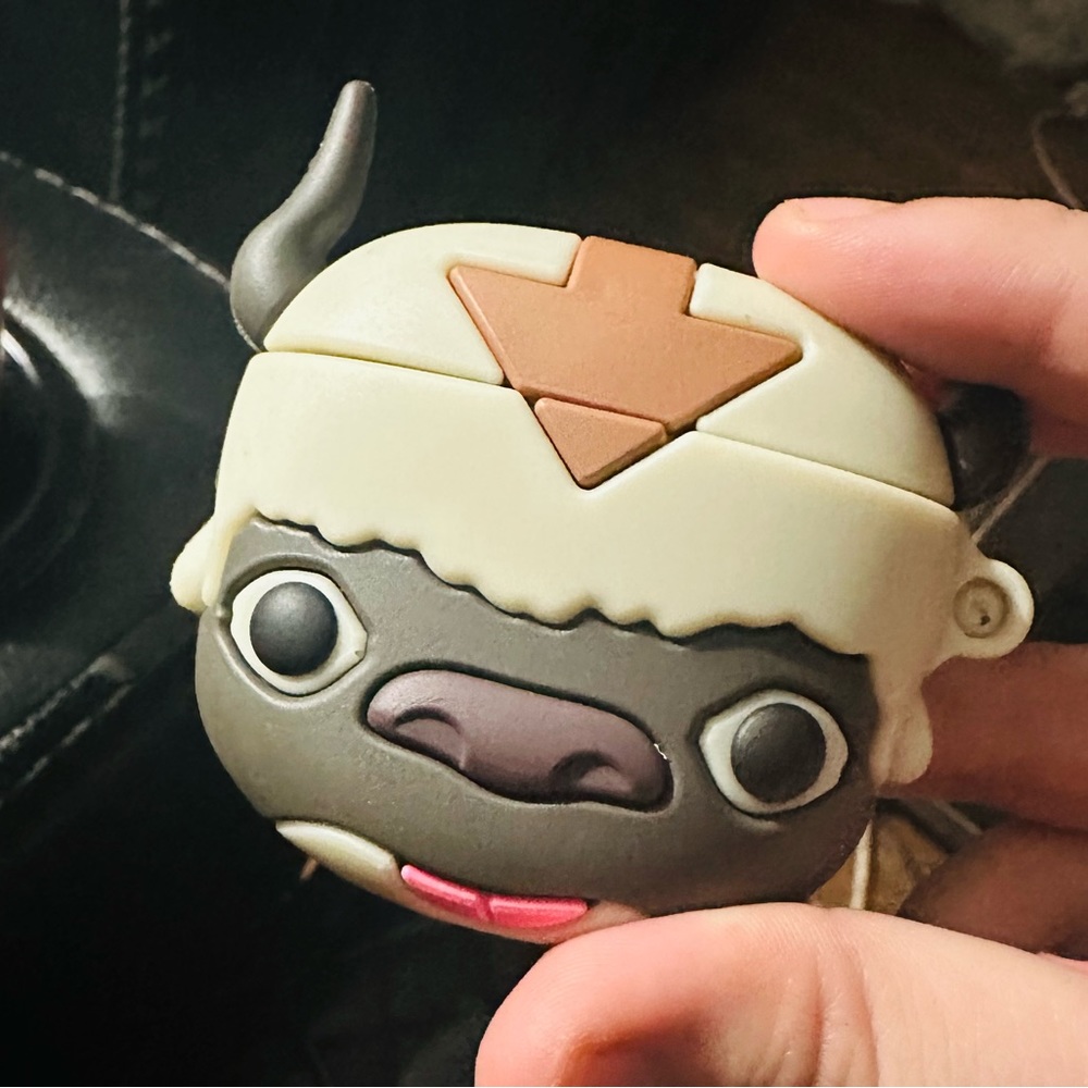 Appa AirPods case